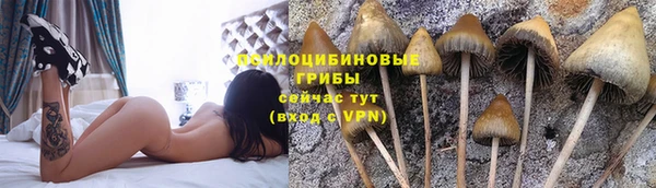 дживик Каменск-Шахтинский