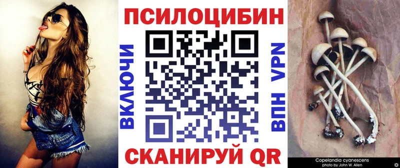 Купить где  Трубчевск  Псилоцибиновые грибы Cubensis 