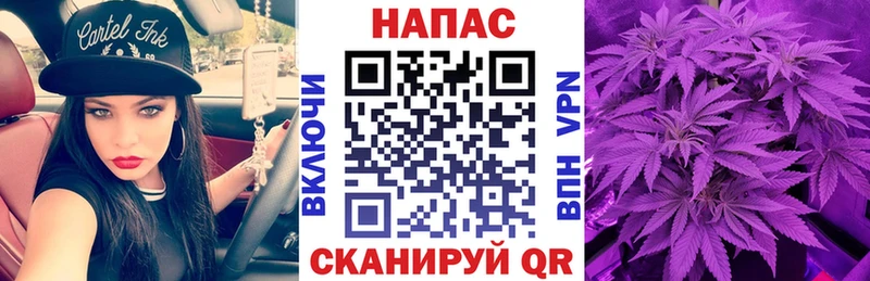 Бошки Шишки THC 21%  Купить где  Трубчевск 